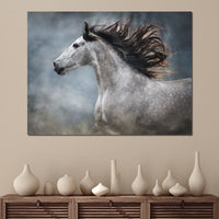 Andalusian Horse Canvas Wall Art