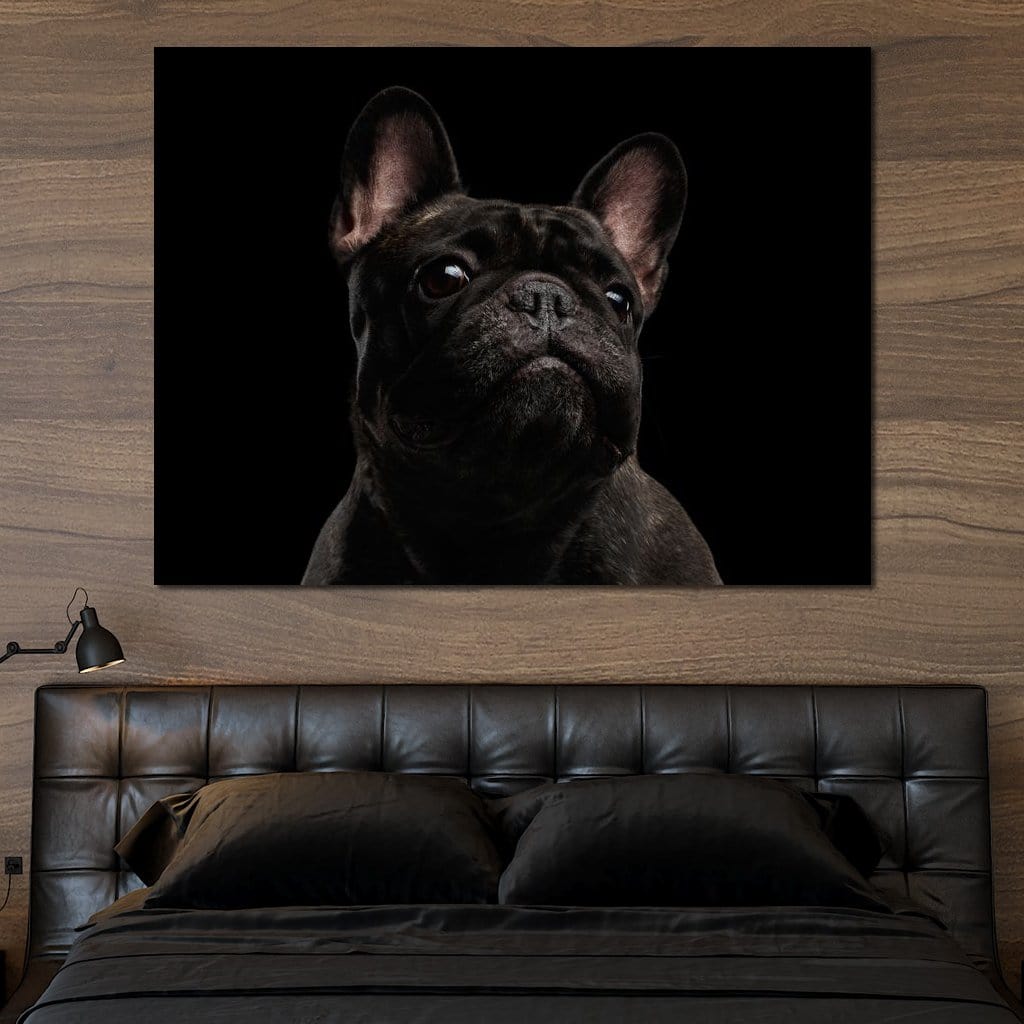 Black French Bulldog Canvas Wall Art