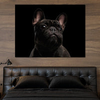 Black French Bulldog Canvas Wall Art