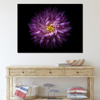 Backyard Flowers Series 1 Canvas Wall Art