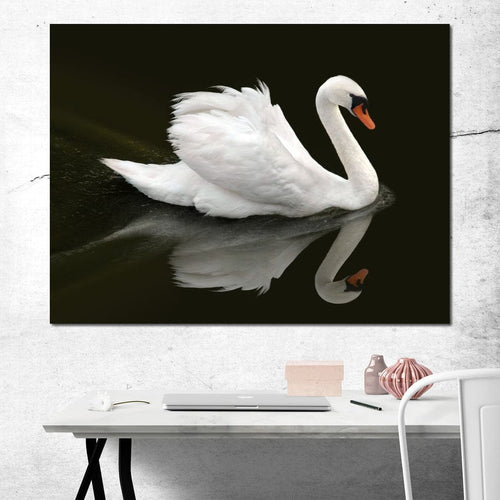 Swan Canvas Wall Art