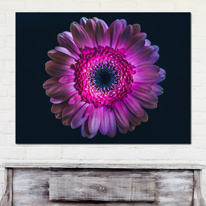 Purple Petals Canvas Wall Art
