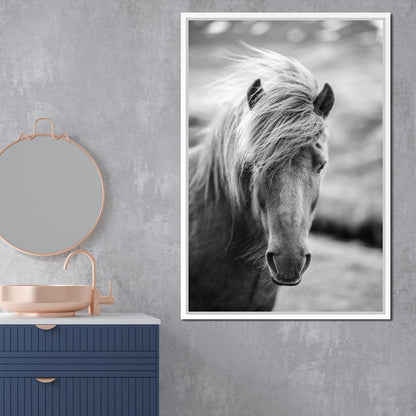 Icelandic Horse Canvas Wall Art