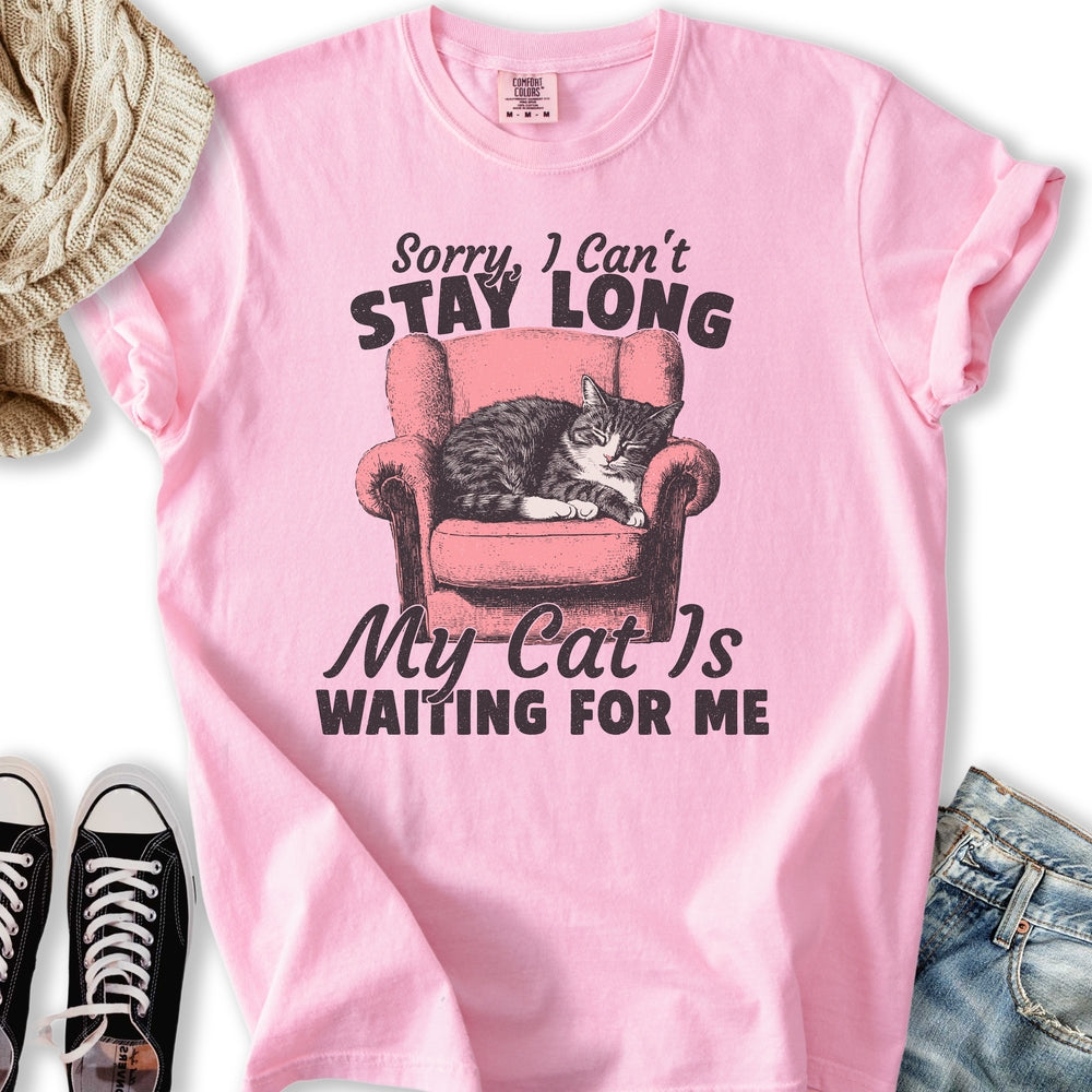 Cat is Waiting Relaxed Tee