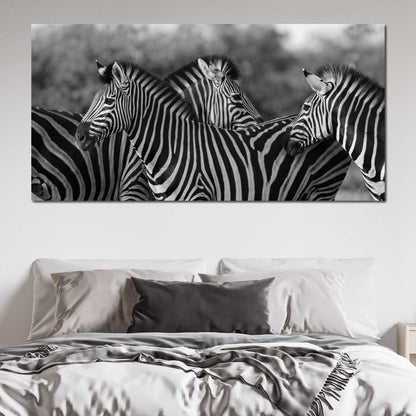 Zebra Herd in Black & White Canvas Wall Art