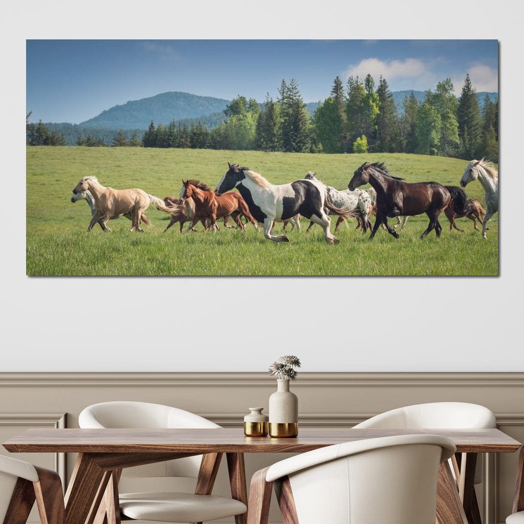 Horses of all Colors Running in a Pasture Canvas Wall Art