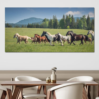 Horses of all Colors Running in a Pasture Canvas Wall Art