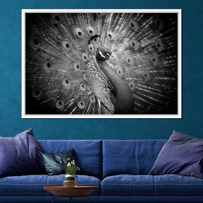 Black and White Peacock Canvas Wall Art