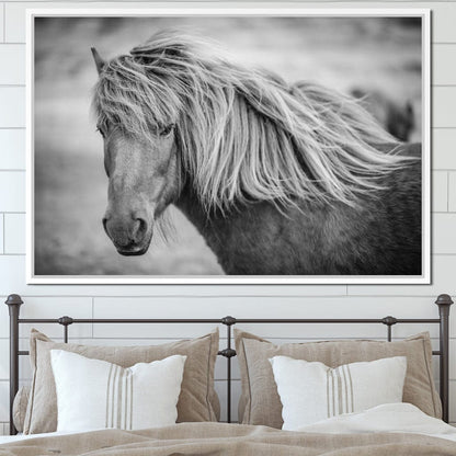 Icelandic Horse in Black & White Canvas Wall Art