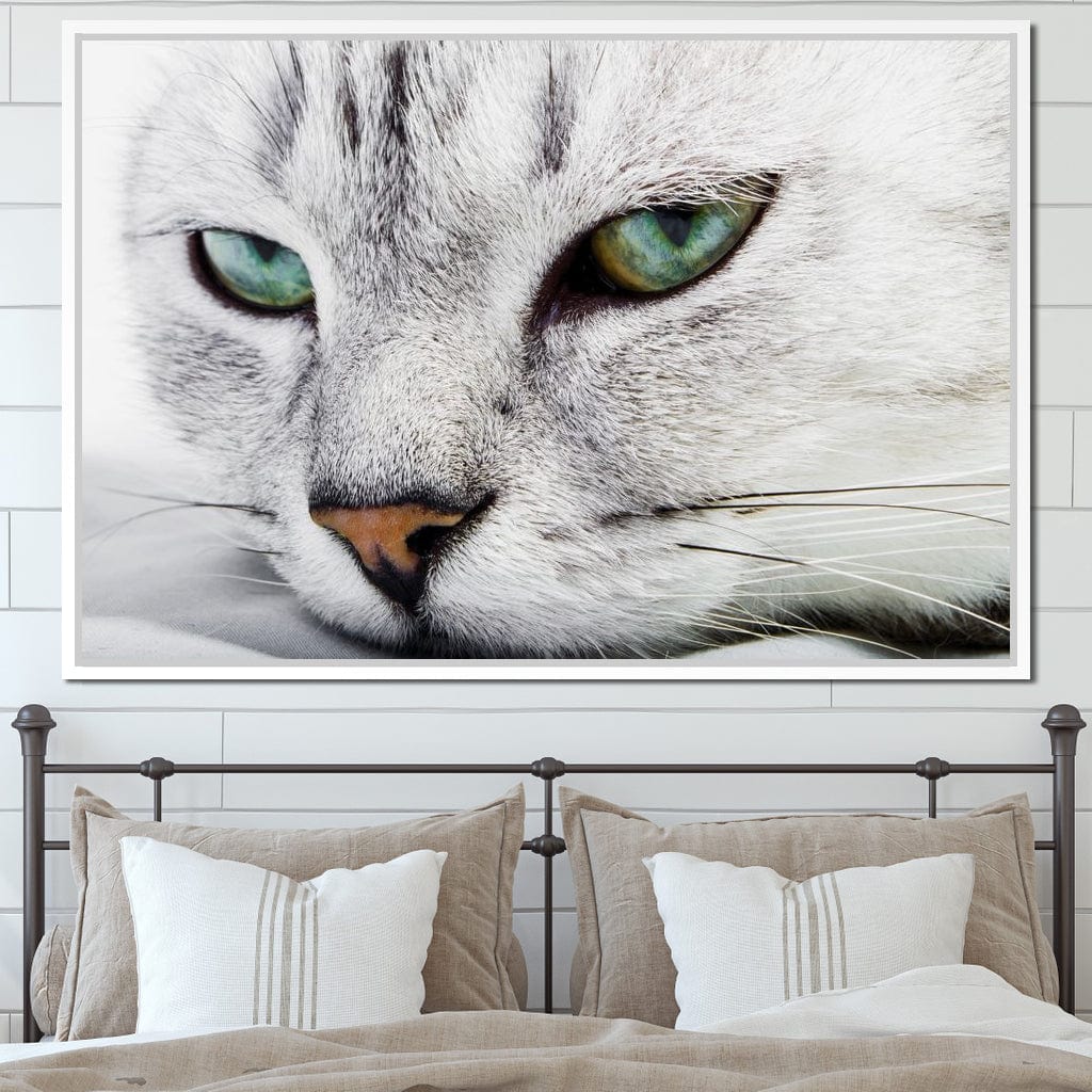 Cat Relaxing Canvas Wall Art