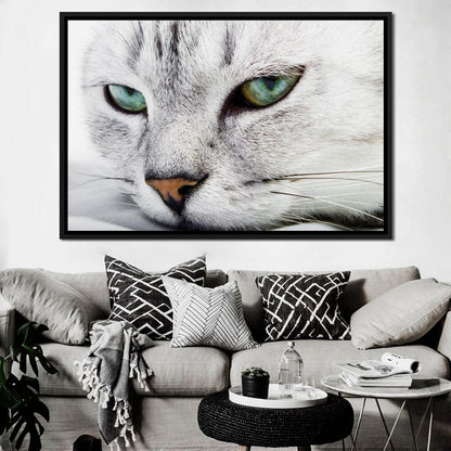 Cat Relaxing Canvas Wall Art