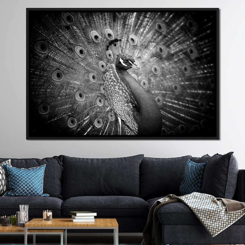 Black and White Peacock Canvas Wall Art