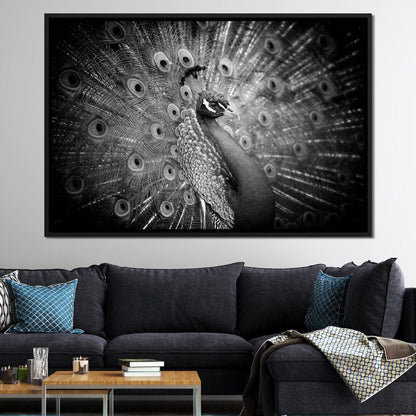 Black and White Peacock Canvas Wall Art