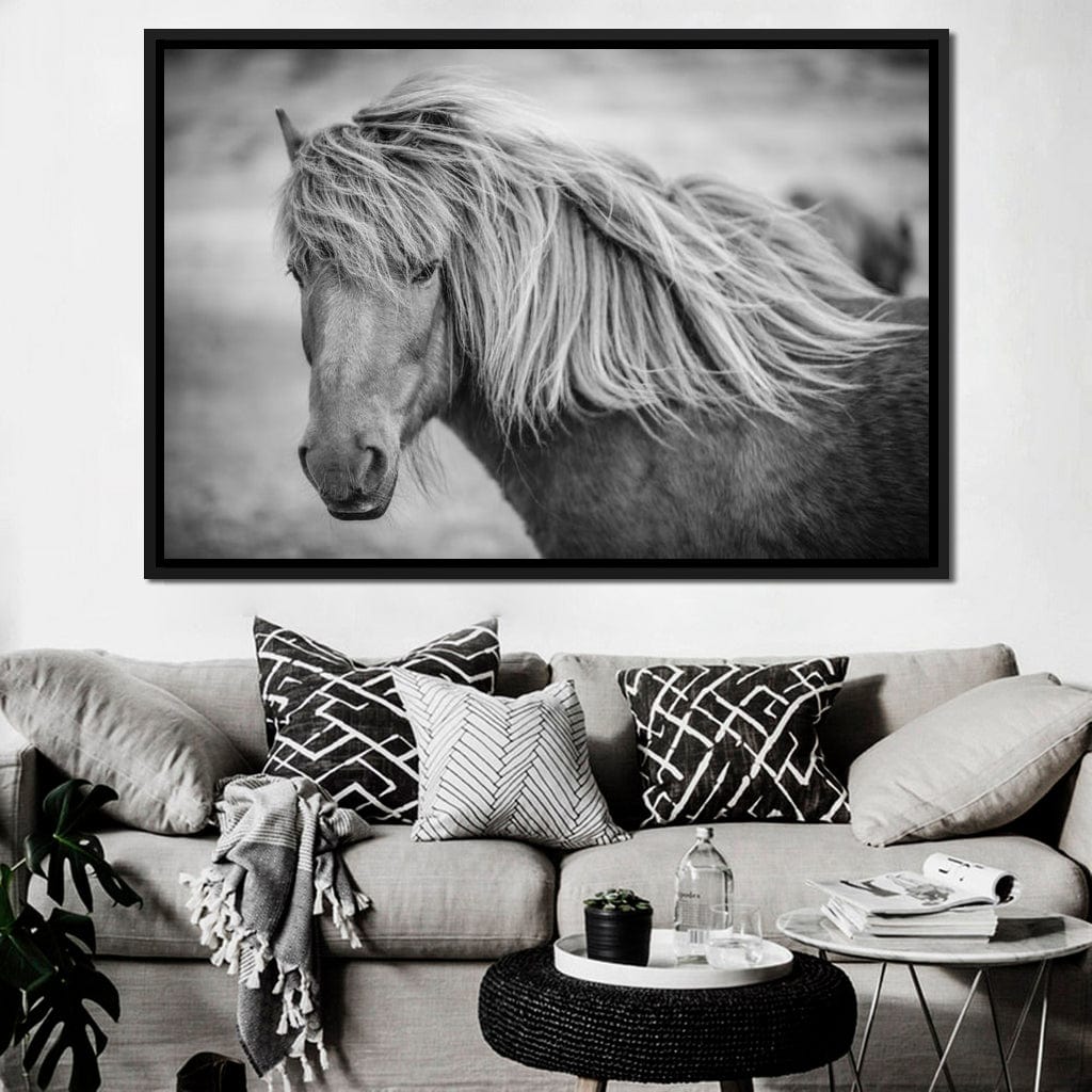 Icelandic Horse in Black & White Canvas Wall Art