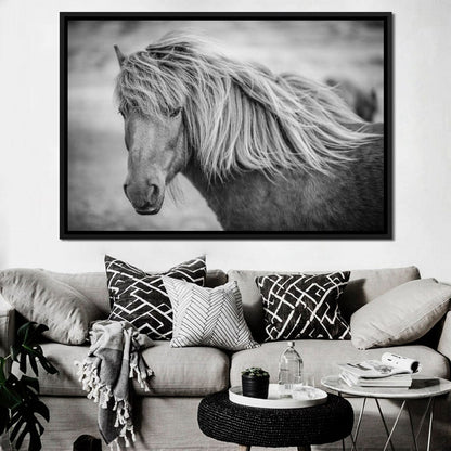 Icelandic Horse in Black & White Canvas Wall Art