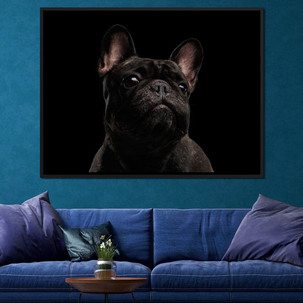 Black French Bulldog Canvas Wall Art