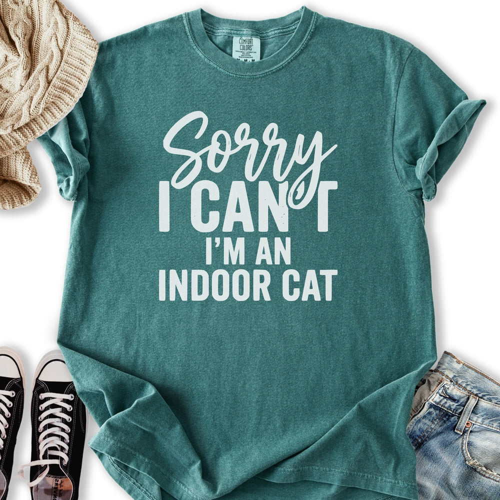Sorry I'm An Indoor Cat Relaxed Tee