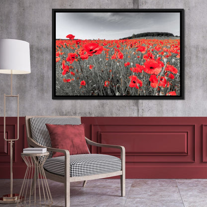 Flanders Fields Canvas Wall Art