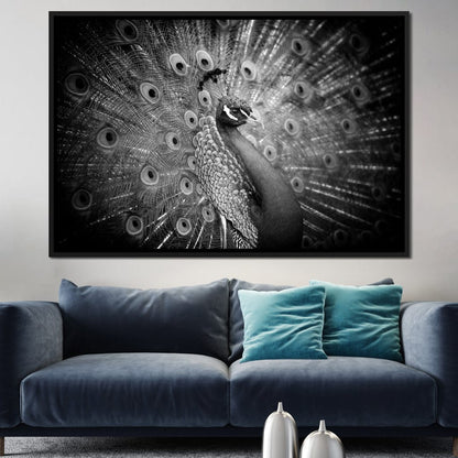 Black and White Peacock Canvas Wall Art