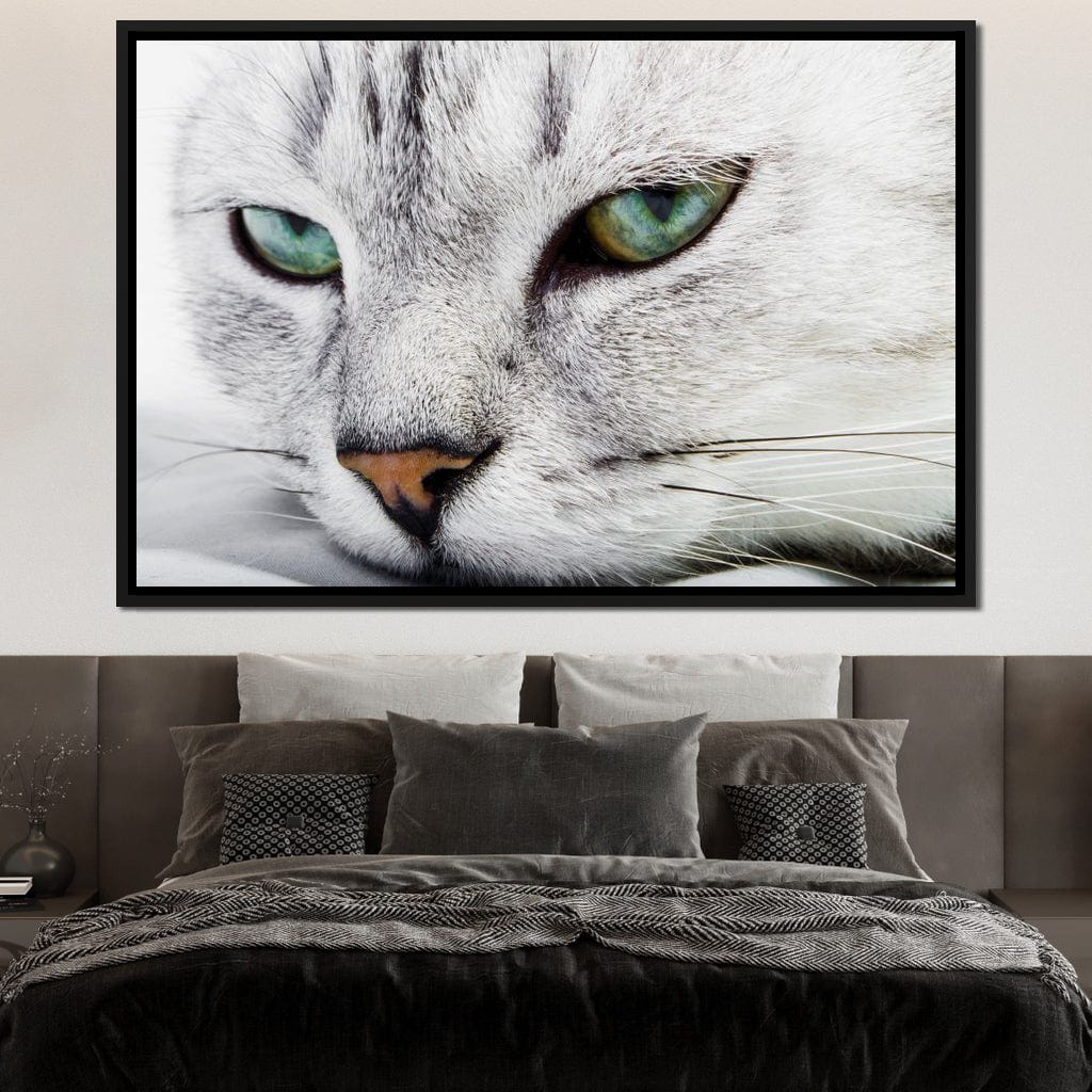 Cat Relaxing Canvas Wall Art