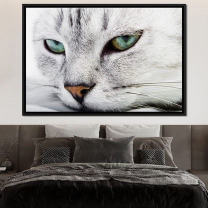 Cat Relaxing Canvas Wall Art