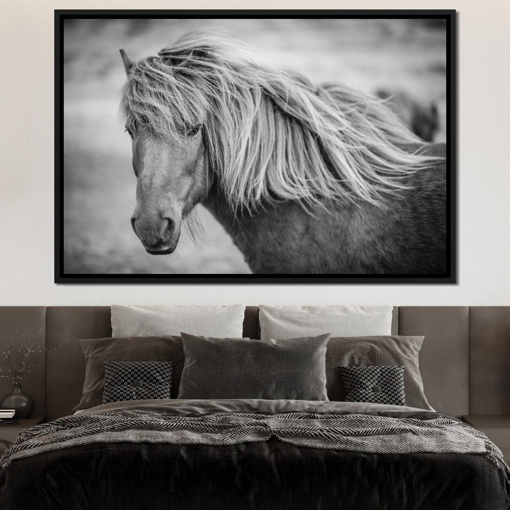 Icelandic Horse in Black & White Canvas Wall Art