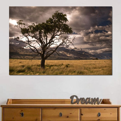 Stormy Afternoon Canvas Wall Art