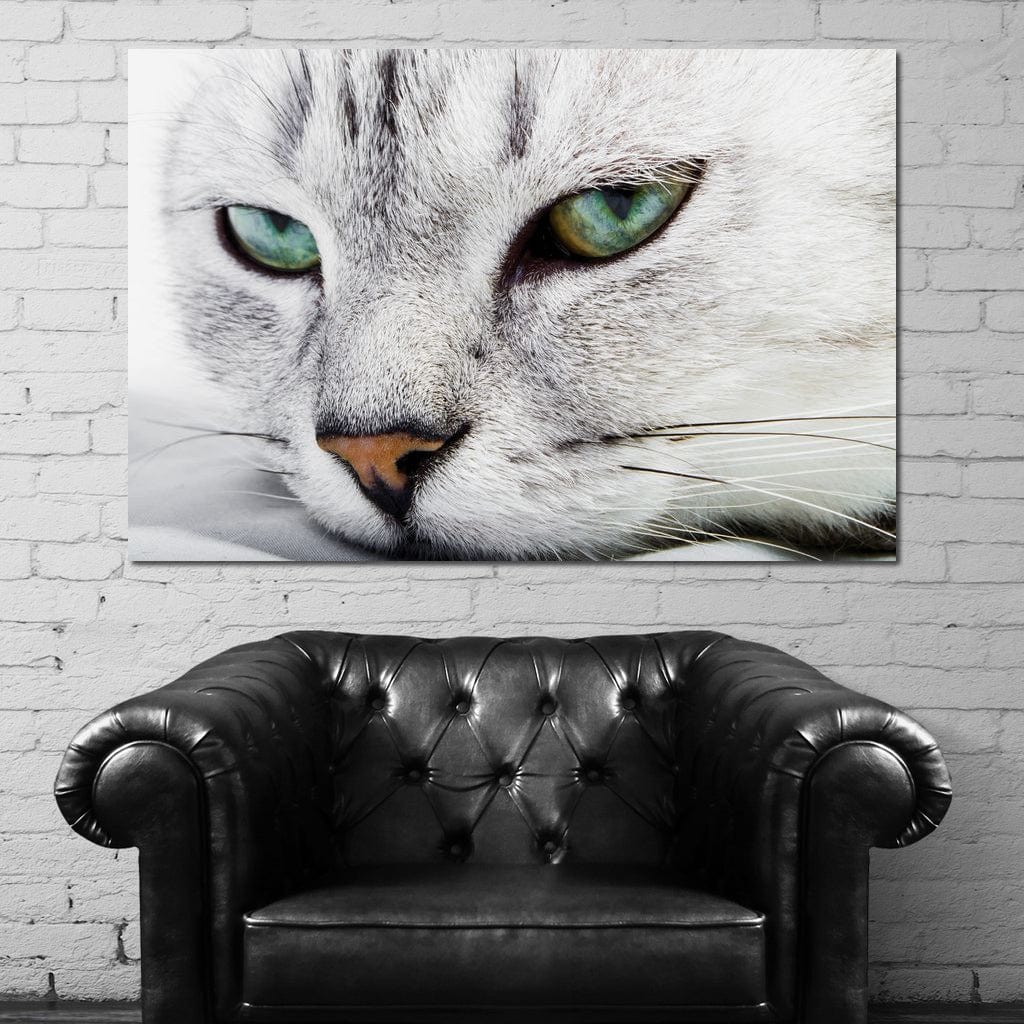 Cat Relaxing Canvas Wall Art