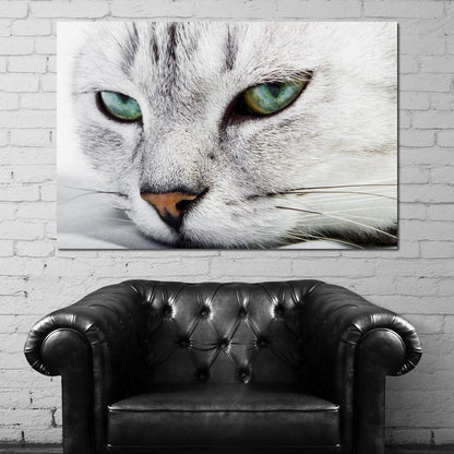 Cat Relaxing Canvas Wall Art
