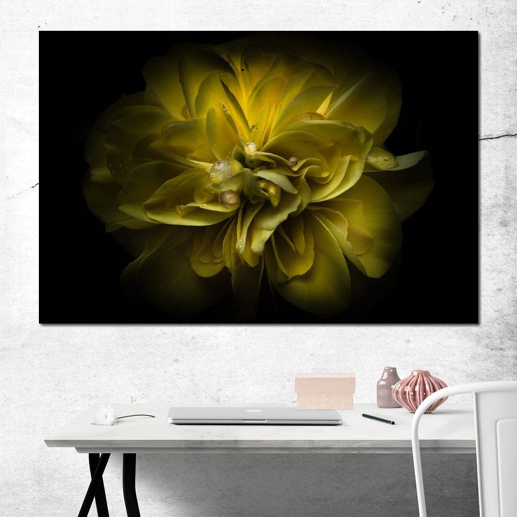 Yellow Backyard Flowers Canvas Wall Art