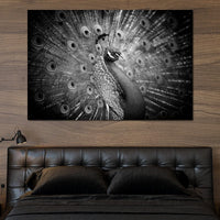 Black and White Peacock Canvas Wall Art