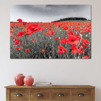Flanders Fields Canvas Wall Art