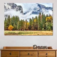 Yosemite National Park Canvas Wall Art