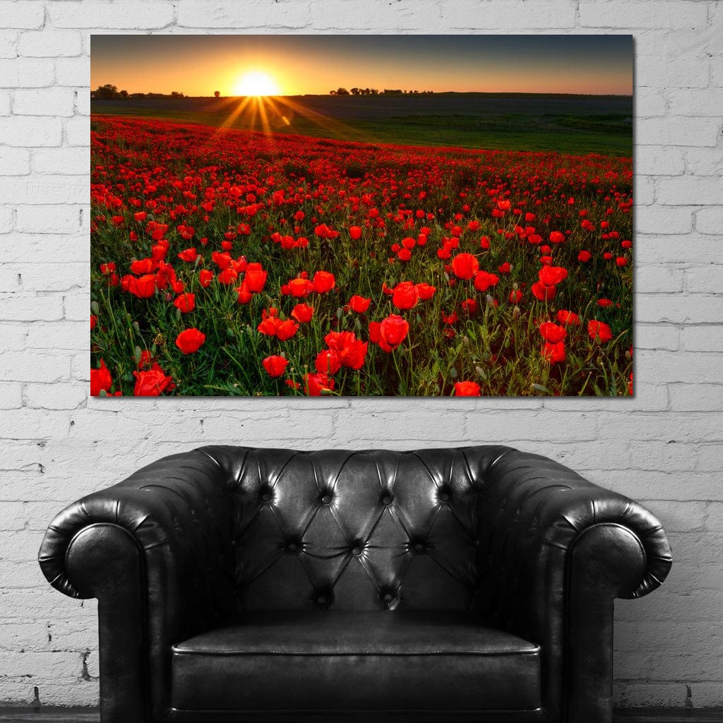 Red Poppies Field Canvas Wall Art