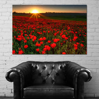 Red Poppies Field Canvas Wall Art
