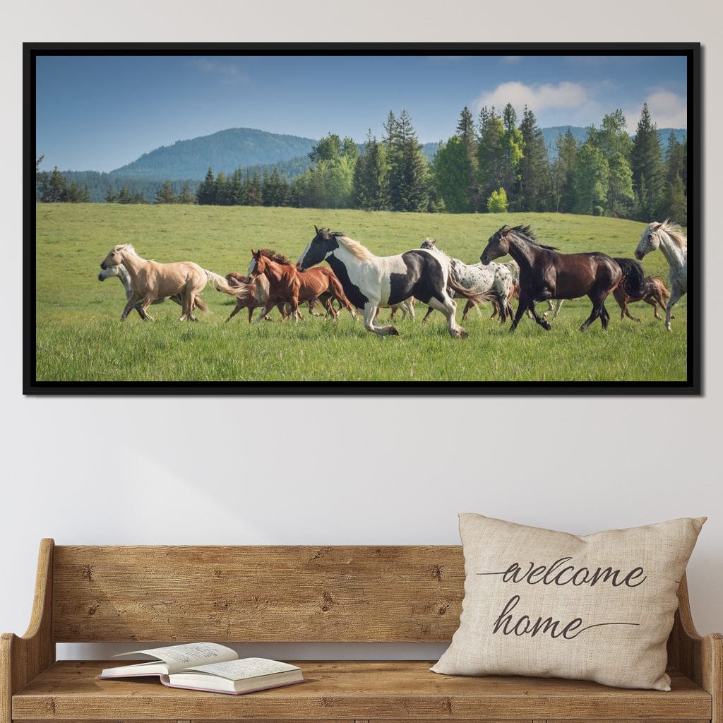 Horses of all Colors Running in a Pasture Canvas Wall Art