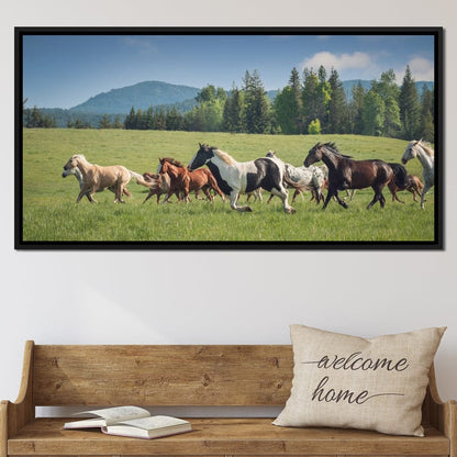Horses of all Colors Running in a Pasture Canvas Wall Art