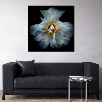 Backyard Flowers Series 4 Canvas Wall Art