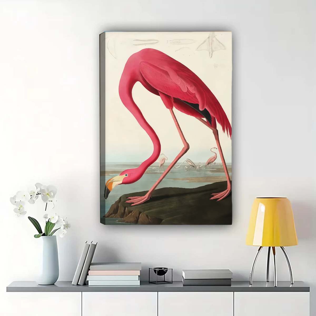 Flamingo Wall Art - Vintage Audubon Style Print