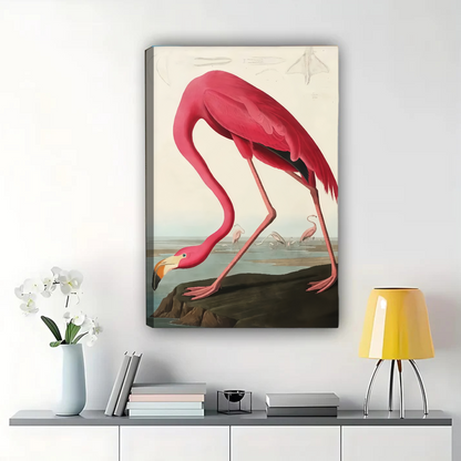 Flamingo Wall Art - Vintage Audubon Style Print