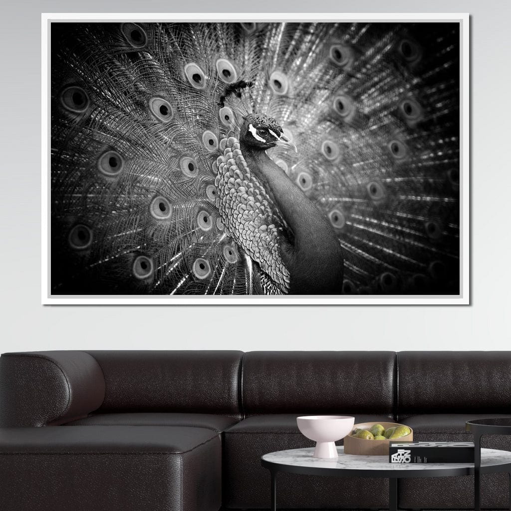 Black and White Peacock Canvas Wall Art