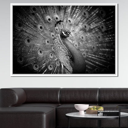 Black and White Peacock Canvas Wall Art