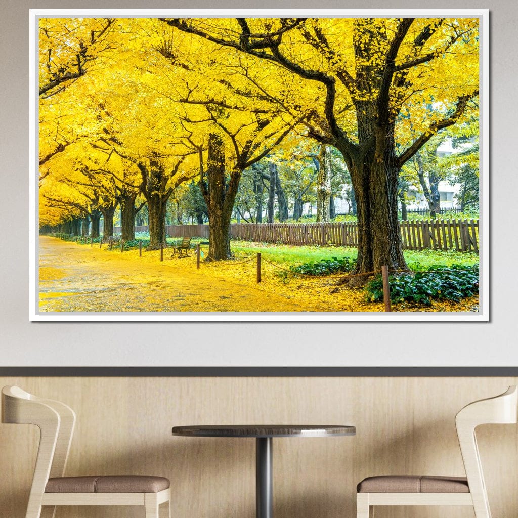 Yellow Ginkgo Trees Canvas Wall Art