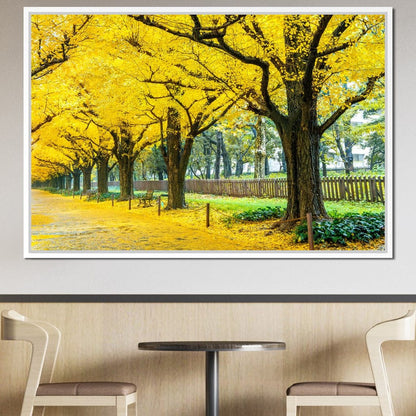 Yellow Ginkgo Trees Canvas Wall Art