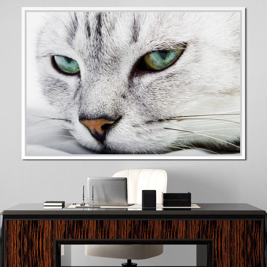 Cat Relaxing Canvas Wall Art
