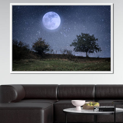 Beautiful Moonlight Canvas Wall Art
