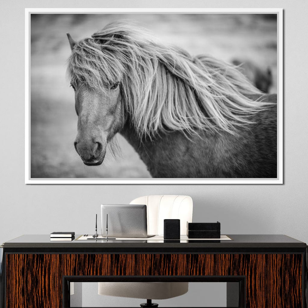 Icelandic Horse in Black & White Canvas Wall Art