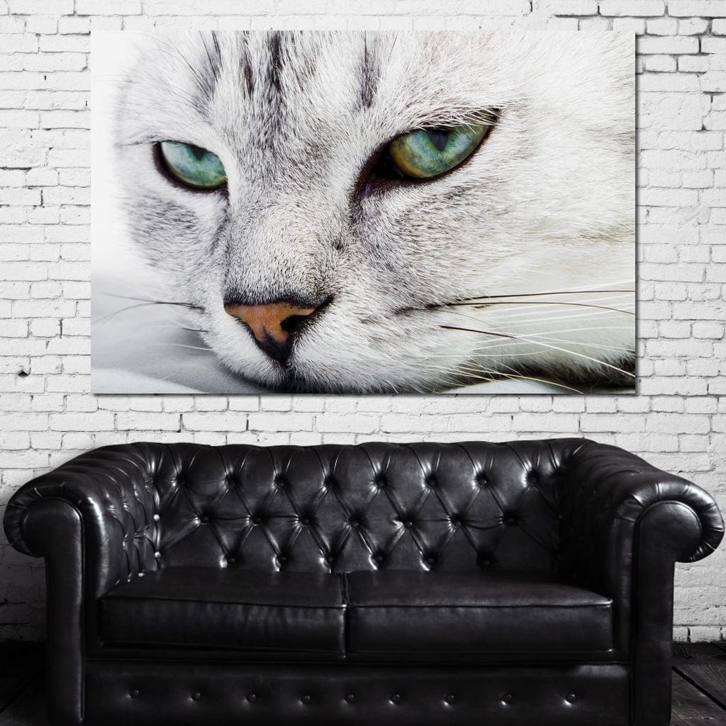 Cat Relaxing Canvas Wall Art