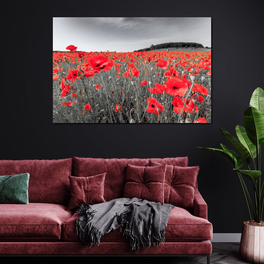 Flanders Fields Canvas Wall Art