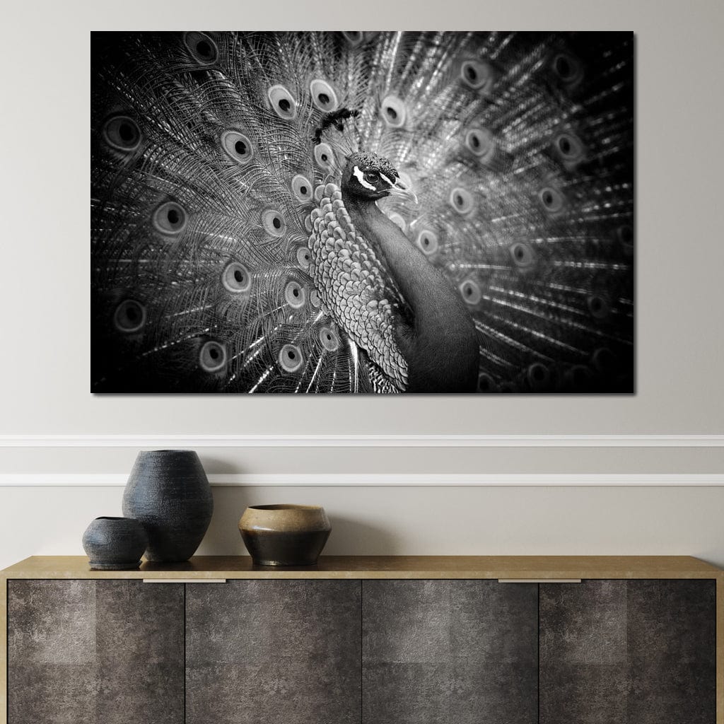 Black and White Peacock Canvas Wall Art
